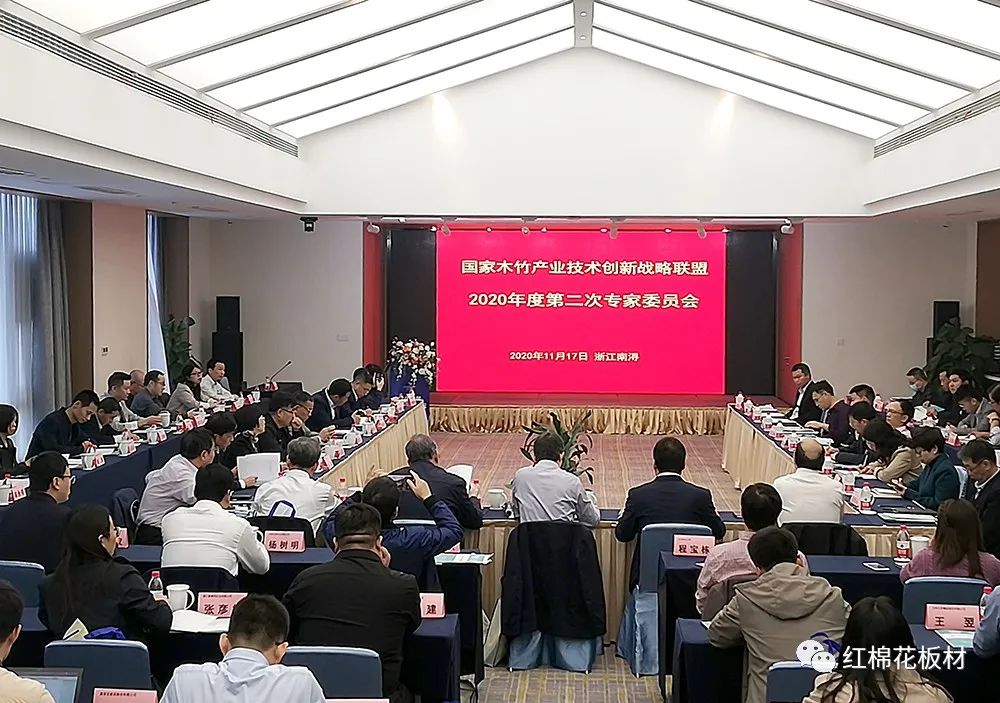 红棉花板材|国家木竹产业技术创新战略联盟2020年度第二次专家委员会圆满召开