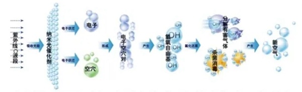 千年舟·柏菲伦板材的免疫力，硬核科技守护全家健康